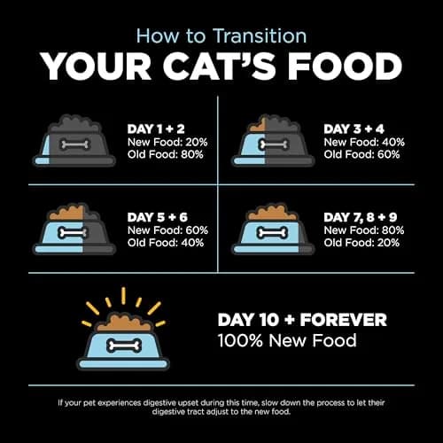 Go! Solutions Dental + Immune Health Chicken + Salmon Dry Cat Food, 2.27kg (5lb) | Supports Oral & Immune Health thumbnail 9