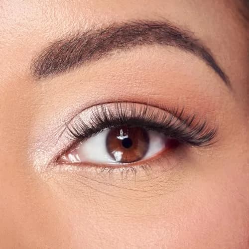 FALSCARA Classic Wispy False Eyelashes 8mm-16mm | Reusable Lash Clusters for Natural & Glam Looks thumbnail 2