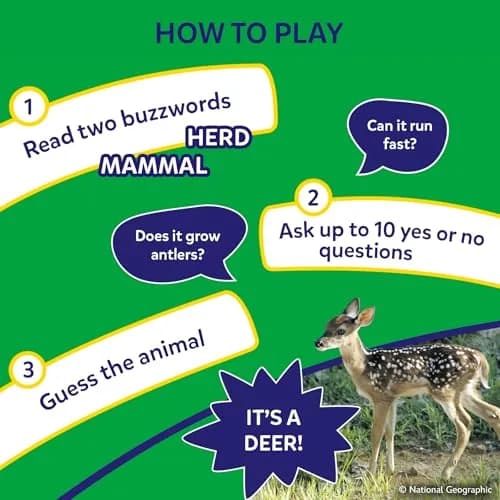 Skillmatics Guess in 10 National Geographic Animals Game | Educational Card Game for Ages 6+ thumbnail 4
