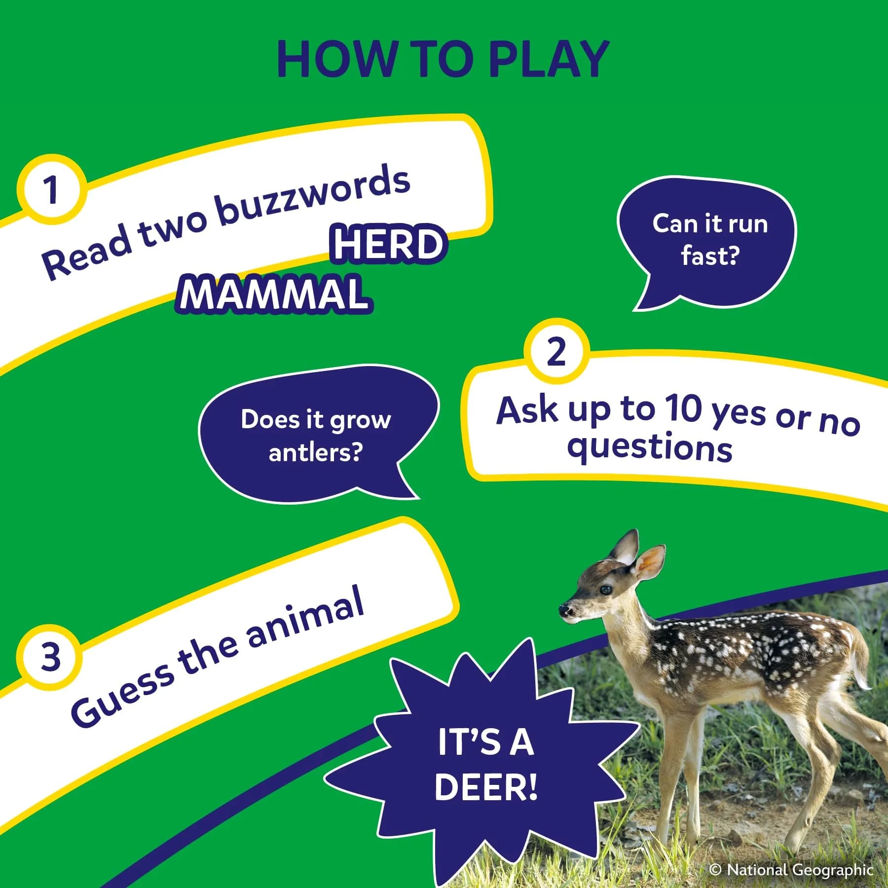 Skillmatics Guess in 10 National Geographic Animals Card Game, Educational Travel Toy for Kids Ages 6+ | 50 Game Cards - view 4