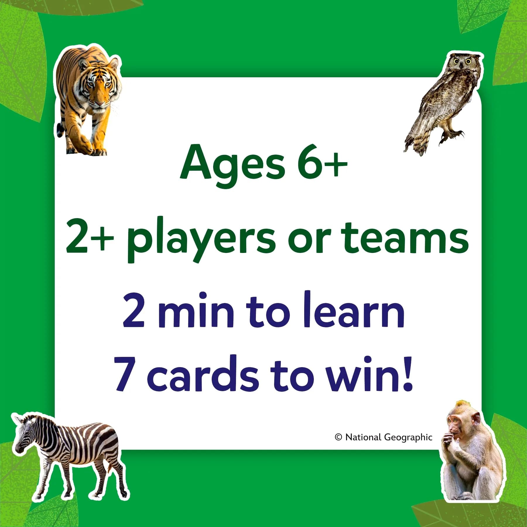 Skillmatics Guess in 10 National Geographic Animals Card Game, Educational Travel Toy for Kids Ages 6+ | 50 Game Cards - view 6