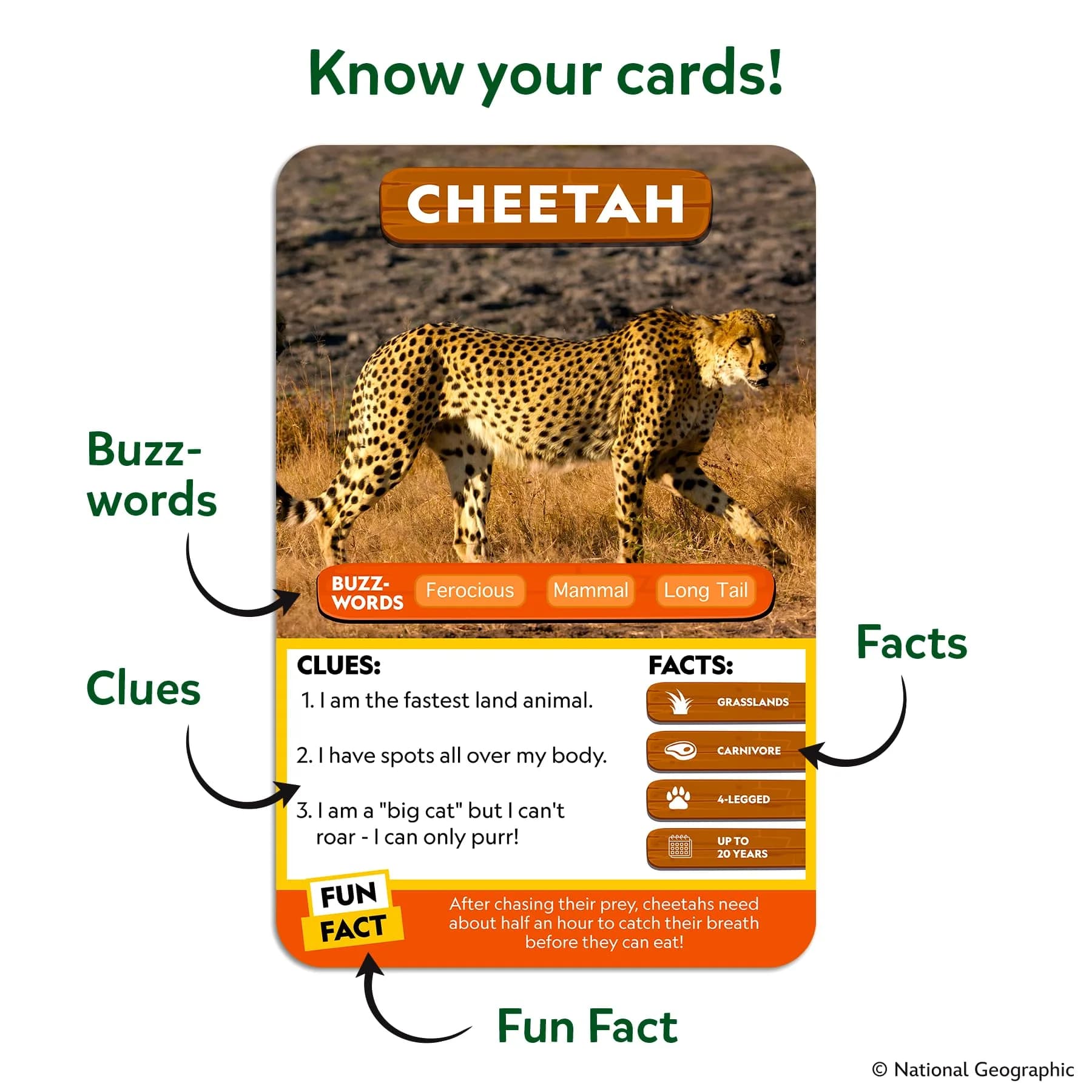 Skillmatics Guess in 10 National Geographic Animals Card Game, Educational Travel Toy for Kids Ages 6+ | 50 Game Cards - view 7