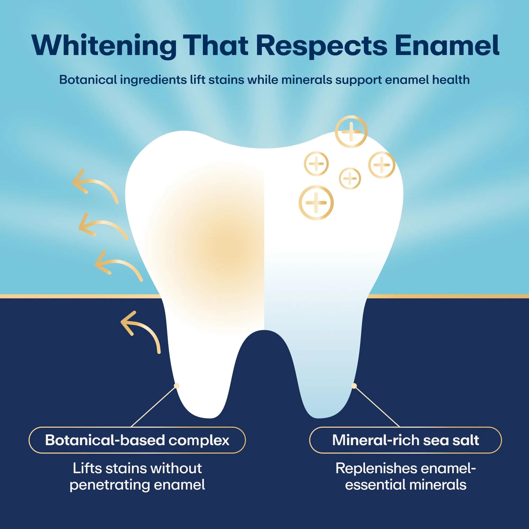 Lumineux Teeth Whitening Strips Enamel Safe Formula (863825) | Dentist-Formulated Stain Removal - view 7