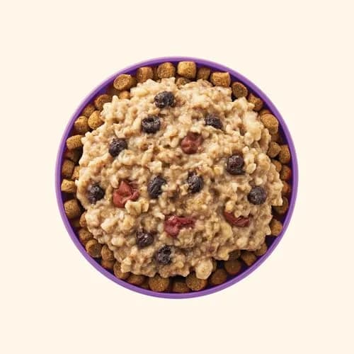 Your Pet's Kitchen Breakfast Oatmeal Berry Boost, 3.5 oz Cup (12-Pk) | Wholesome Dog Topper with Real Berries thumbnail 2