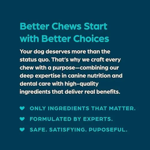 Chewsday Dog Treats Fresh Mint Flavor Dental Chews | Supports Oral Hygiene & Fresh Breath thumbnail 5