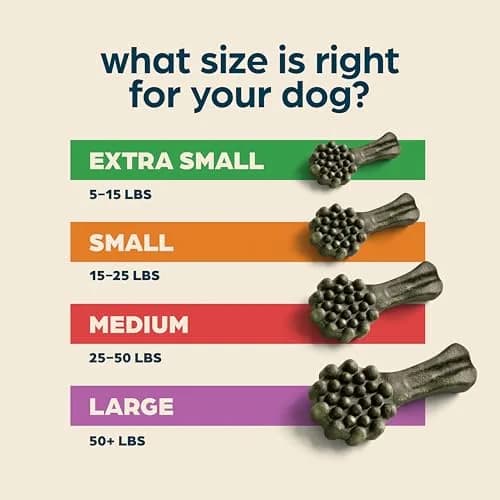 Chewsday Dog Treats Fresh Mint Flavor Dental Chews | Enzyme Powered, Small 13 Count thumbnail 4