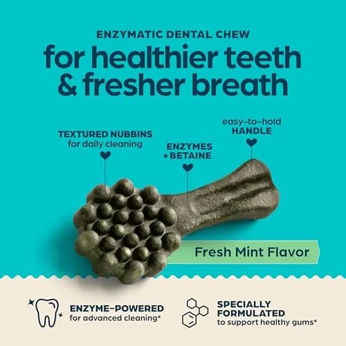 Chewsday Dog Treats Fresh Mint Flavor Dental Chews | Enzyme Powered, Small 13 Count thumbnail 2