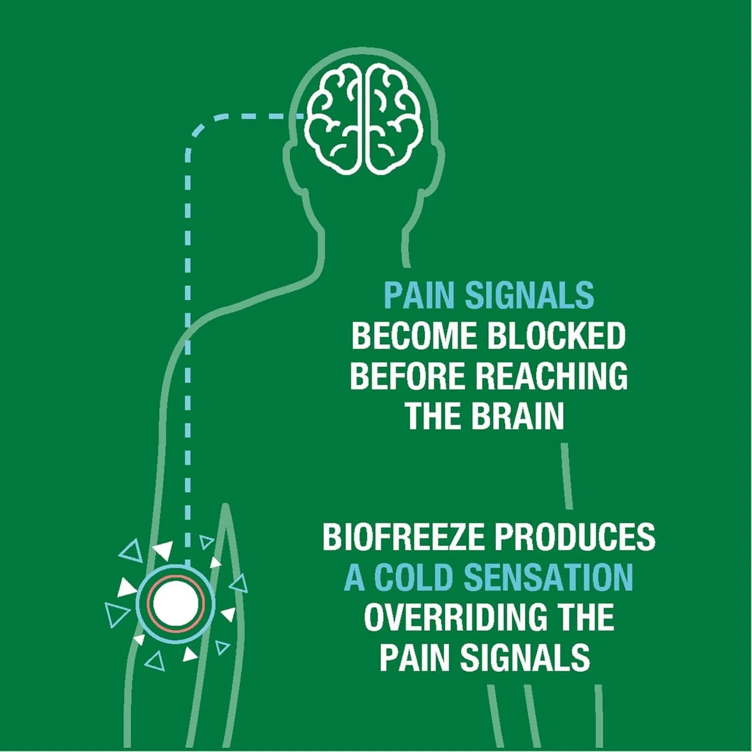 Biofreeze Day & Overnight Pain Relief Patches 18 Count (Pack of 2) | Menthol Arthritis & Muscle Pain Relief - view 9