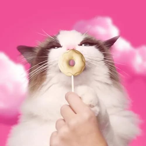 Bonkers Purrpops Krispy Kreme Edition Freeze-Dried Chicken Flavored Lollipop Cat Treats | Limited-Edition, High-Protein, All Life Stages thumbnail 7