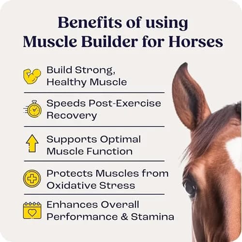 Summit Animal Health Muscle Builder Powder for Horses 90 Day Supply | Amino Acids & Vitamins Support Recovery thumbnail 7