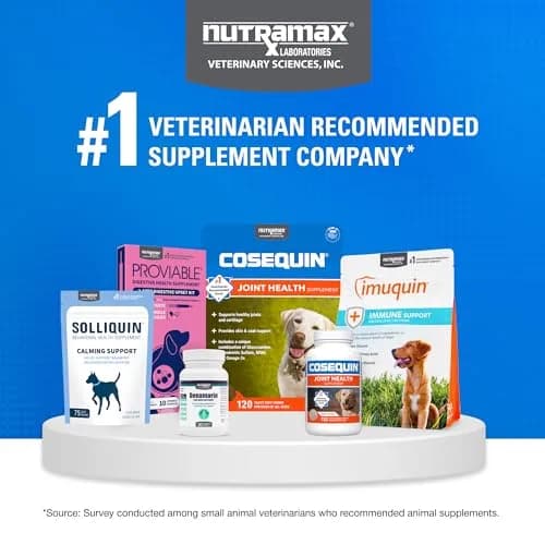 Nutramax Cosequin Dog Joint Health Supplement Tablets, 264 Count (132 Count Pack of 2) | Glucosamine, Chondroitin, MSM for All Breeds thumbnail 8