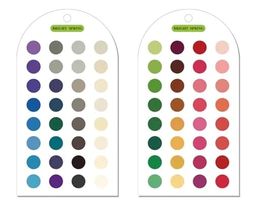 Zynoro Ultimate 12 Season Color Analysis Template Cards (Set of 2) | Portable Color Matching Guide for Outfits & Makeup thumbnail 1