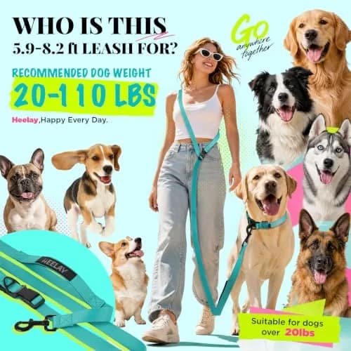 Heelay Hands Free Dog Leash 2.5m (8.2ft) Teal | Adjustable Crossbody Rope for Medium Dogs thumbnail 2