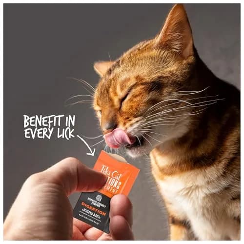 Tiki Cat Solutions Cat Supplement Digestion Chicken & Egg 5.6 oz | Supports Digestive Health with Prebiotics thumbnail 6