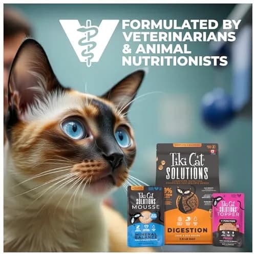 Tiki Cat Solutions Cat Supplement Digestion Chicken & Egg 5.6 oz | Supports Digestive Health with Prebiotics thumbnail 8