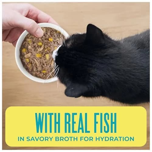 Tiki Cat Wet Cat Food Mega Pack, Seafood Selects, 2.8 oz (24) | Protein-Rich, Grain-Free, Hydrating thumbnail 5
