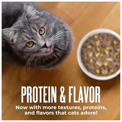Tiki Cat Wet Cat Food Mega Pack, Seafood Selects, 2.8 oz (24) | Protein-Rich, Grain-Free, Hydrating thumbnail 7