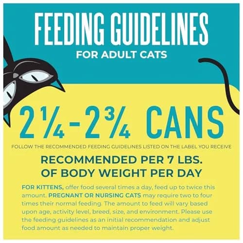 Tiki Cat Wet Cat Food Mega Pack, Seafood Selects, 2.8 oz (24) | Protein-Rich, Grain-Free, Hydrating thumbnail 9
