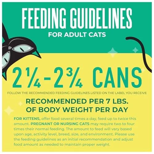 Tiki Cat Wet Cat Food Mega Pack, Seafood Selects Variety Pack, 2.8 oz (36) | Protein-Rich, Grain-Free, Hydrating for Cats thumbnail 9