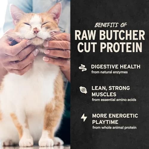 Vital Essentials Freeze Dried Raw Chicken Hearts Cat Treats 2.75 oz (78 g) | Single Ingredient Protein Boost thumbnail 4