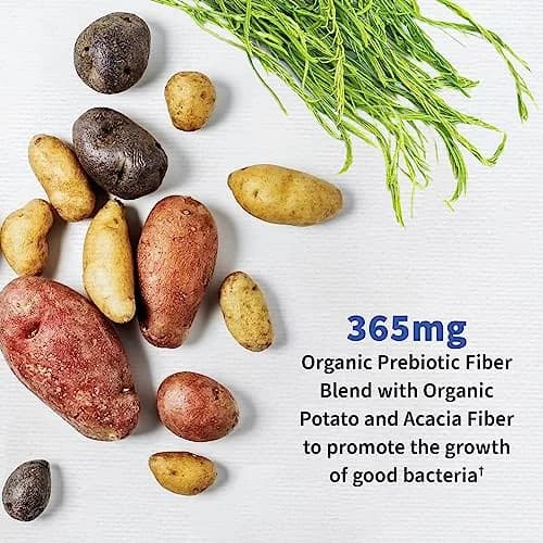 Garden of Life Probiotics for Men, Dr. Formulated 50 Billion CFU 15 Probiotics with Organic Prebiotic Fiber, 180 Capsules | Digestive, Immune & Colon Support thumbnail 2