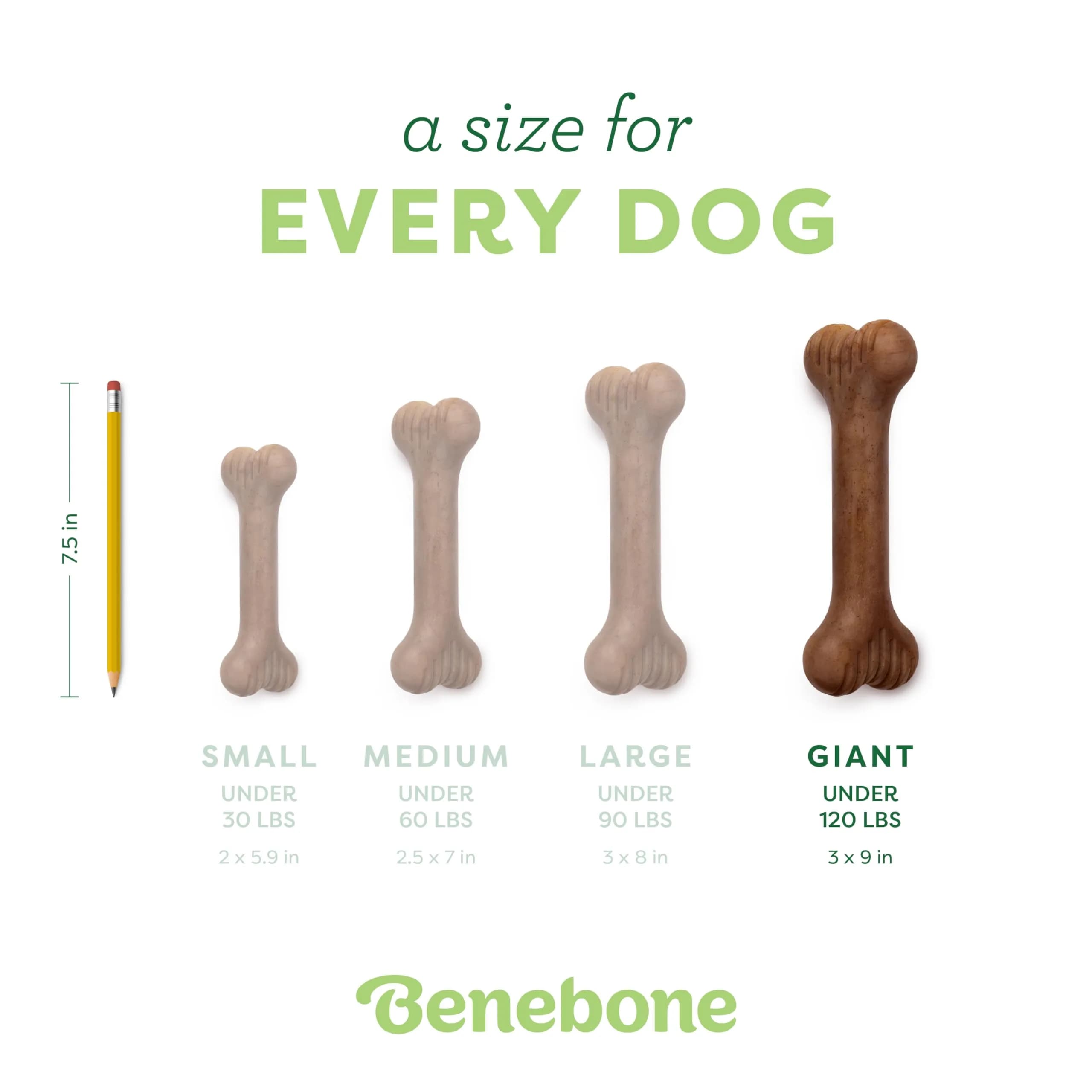 Benebone Real Bacon Dental Chew Toy for Aggressive Chewers, Giant Bone Shape - view 4