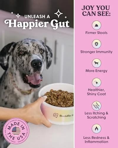 Bundle x Joy Lamb Probiotic Dog Food 8lb | Grain-Free, Poultry-Free, Energy Dense thumbnail 4
