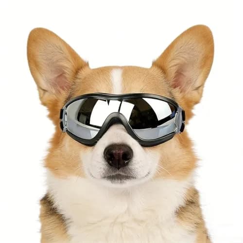 NAMSAN Dog Goggles Small to Medium Breed, Classic Black | UV Protection for Outdoor Adventures thumbnail 1