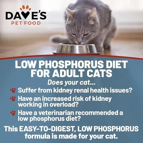 Dave's Pet Food Non Prescription Renal Cat Food Variety Pack 3 oz | Kidney Support with Quality Proteins thumbnail 3