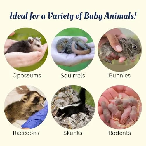 Exotic Nutrition ZooPro Milk Replacer 32/40 Formula 247ml (8.8oz) | For Baby Squirrels, Rabbits, Opossums, Raccoons thumbnail 5
