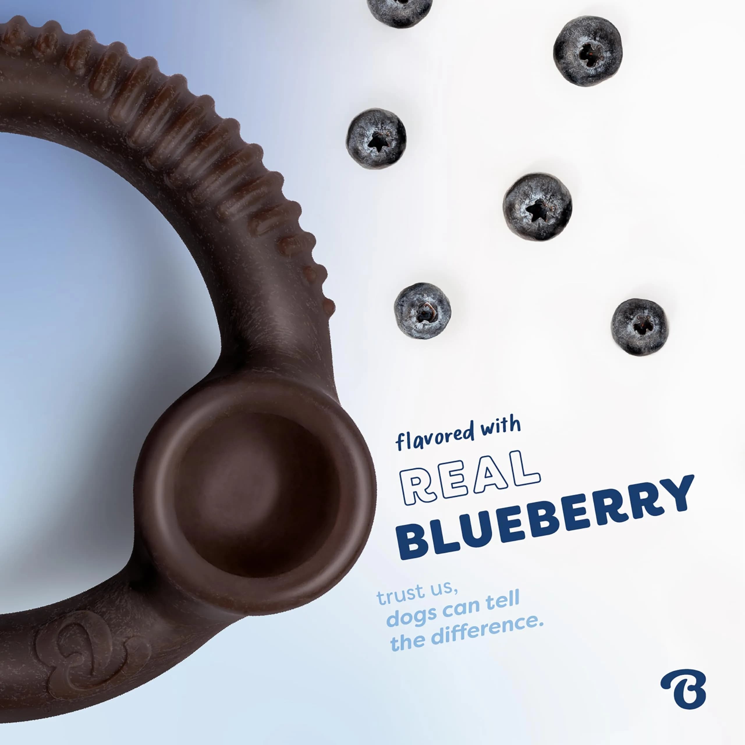 Benebone REAL Blueberry Ring Dental Chew Toy for Dogs, Small (0.13 kg) - view 2