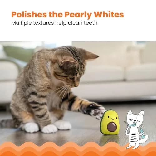 Catstages Lil' Avocato Cat Toy, Interactive Plush Avocado with Catnip, Kicker & Chew Toy for Indoor Cats, Pack of 2 | Encourages Active Play & Dental Health thumbnail 4