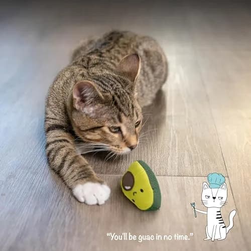 Catstages Lil' Avocato Cat Toy, Interactive Plush Avocado with Catnip, Kicker & Chew Toy for Indoor Cats, Pack of 2 | Encourages Active Play & Dental Health thumbnail 6