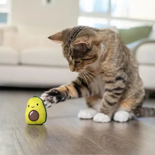 Catstages Lil' Avocato Cat Toy, Interactive Plush Avocado with Catnip, Kicker & Chew Toy for Indoor Cats, Pack of 2 | Encourages Active Play & Dental Health thumbnail 8