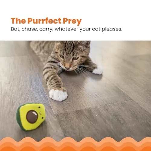 Catstages Lil' Avocato Cat Toy, Interactive Plush Avocado with Catnip, Kicker & Chew Toy for Indoor Cats, Pack of 2 | Encourages Active Play & Dental Health thumbnail 2