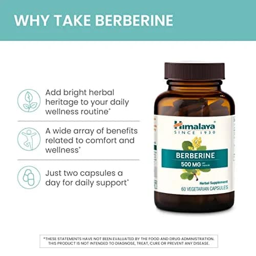Himalaya Berberine Supplement 1000 mg | Supports Immunity & Metabolism, Vegan, 2 Pack thumbnail 4