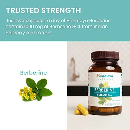 Himalaya Berberine Supplement 1000 mg | Supports Immunity & Metabolism, Vegan, 2 Pack thumbnail 6