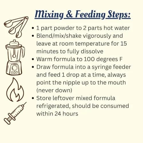 Exotic Nutrition ZooPro Milk Replacer 32/40 Formula for Baby Squirrels 449g (1 lb) | USA-Imported, Nutrient-Rich Formula thumbnail 4