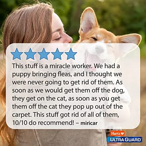 Hartz UltraGuard Plus Flea & Tick Home Spray, Kills Fleas & Ticks, 946ml (32 Fl Oz) Pack of 2 | EPA-Registered Home Insecticide thumbnail 5