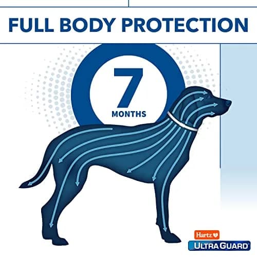 Hartz UltraGuard Flea & Tick Collar for Dogs & Puppies, 7-Month Protection, White, Up to 20 Inch Neck (3-Pack) thumbnail 5