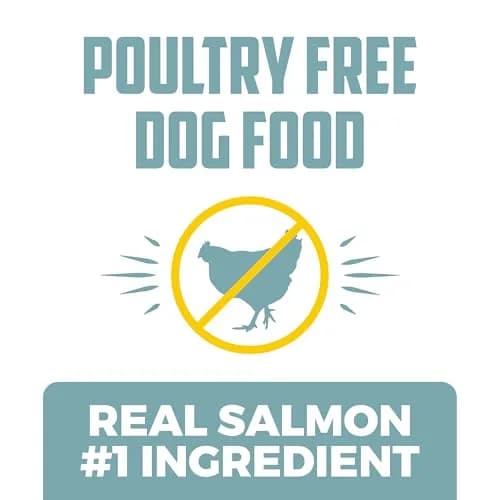 Sportsman's Pride Salmon Sensitive Skin & Coat Dog Food 30 lb | Poultry-Free Formula for Skin & Coat Sensitivities thumbnail 8