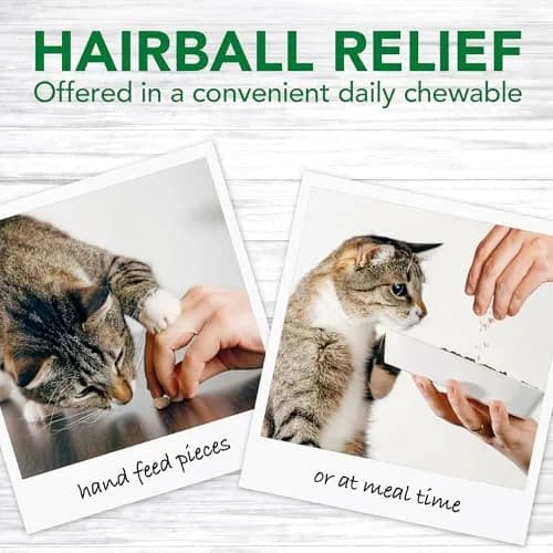 Vet's Best Cat Hairball Relief Digestive Aid Chewable Tablets 720 Count | Vet Formulated Hairball Support Remedy for Cats thumbnail 2