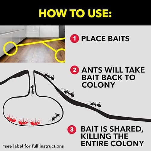 Raid Ant Killer Baits 48 Count (12 Packs of 4) | Kills Colony for 3 Months thumbnail 7