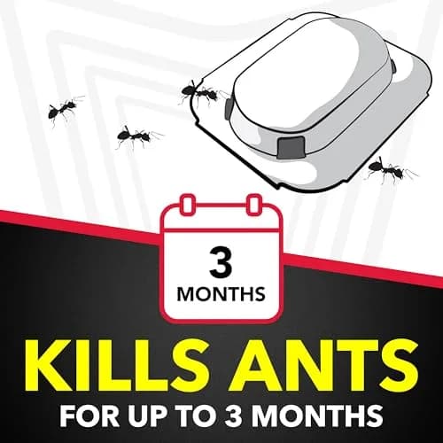 Raid Ant Killer Baits 48 Count (12 Packs of 4) | Kills Colony for 3 Months thumbnail 2