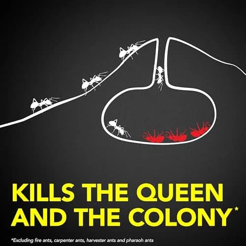 Raid Ant Killer Baits 48 Count (12 Packs of 4) | Kills Colony for 3 Months thumbnail 3