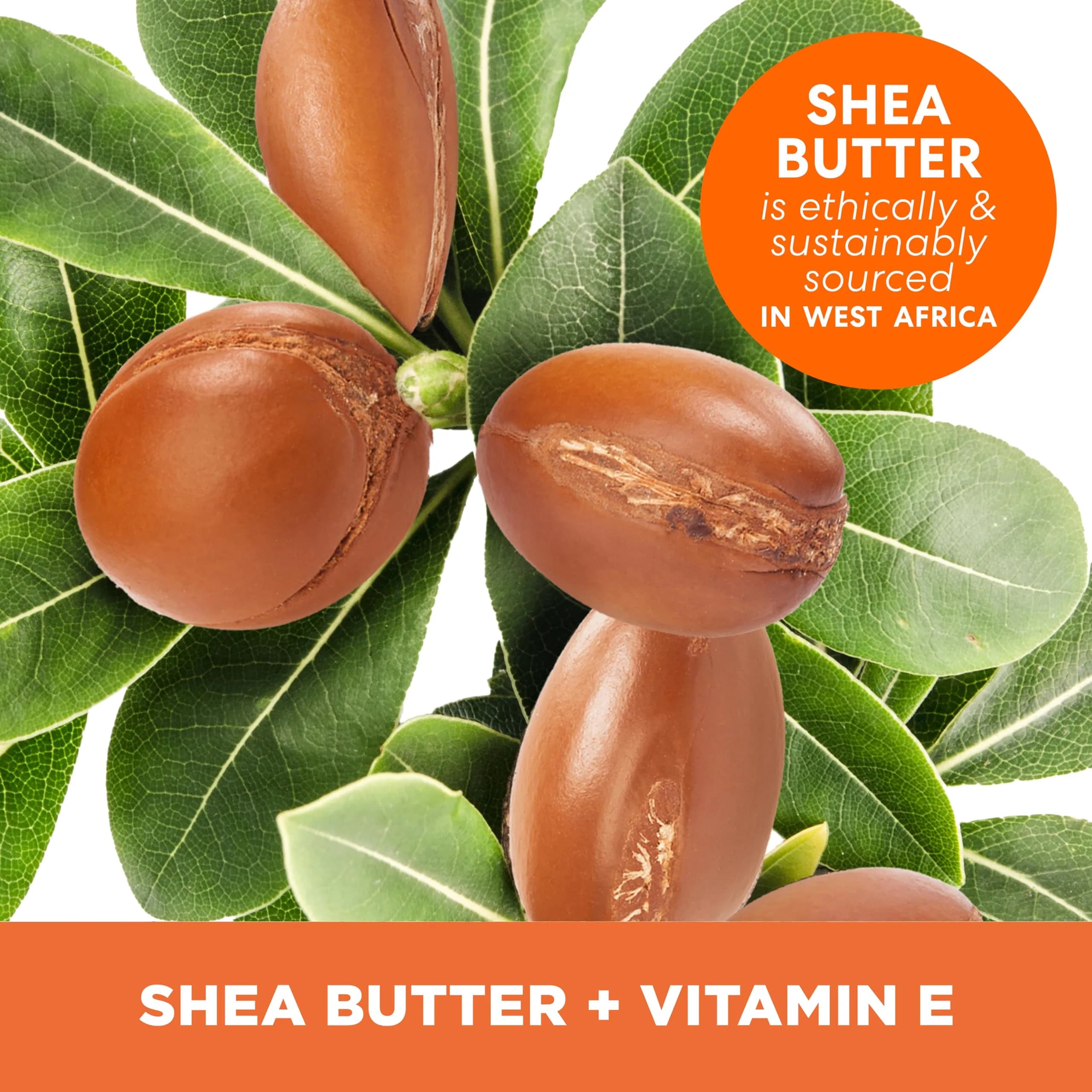Palmer's Raw African Shea Butter Balm, Pack of 6 - Deeply Nourishes Dry Skin - view 3
