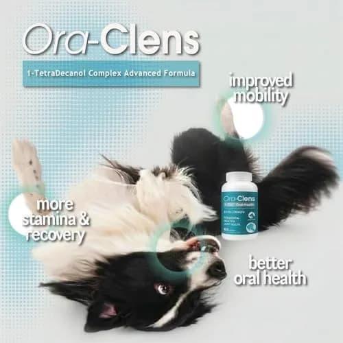 Ora-Clens 1-TDC Softgels for Dog & Cat | Oral & Joint Support, 60 Count thumbnail 4