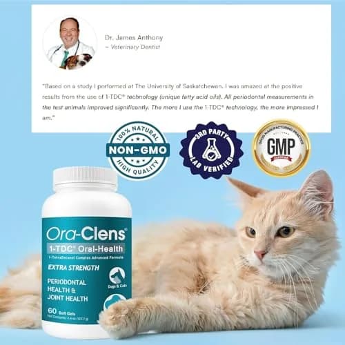 Ora-Clens 1-TDC Softgels for Dog & Cat | Oral & Joint Support, 60 Count thumbnail 7