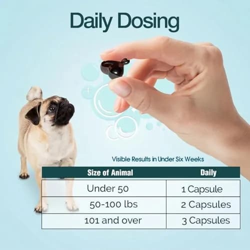 Ora-Clens 1-TDC Softgels for Dog & Cat | Oral & Joint Support, 60 Count thumbnail 8