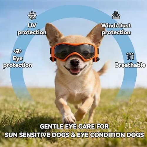 PETLESO XS Dog Goggles Chihuahua Glasses 3.74 in (9.5 cm) | Anti-UV Eye Protection for Tiny Dogs & Cats thumbnail 4